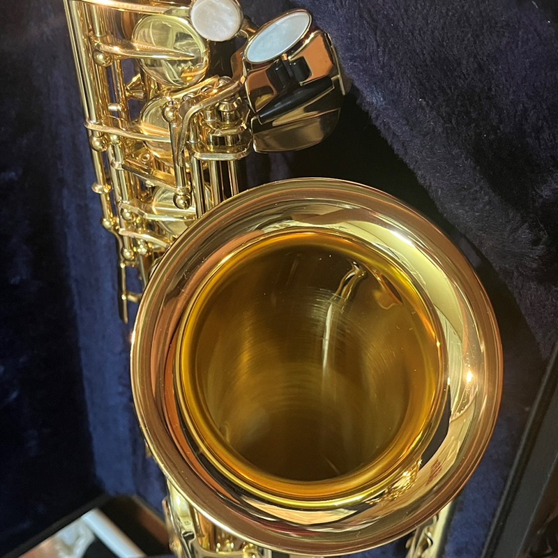 YAMAHA YAS-875EX(II)の画像